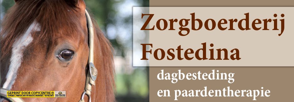 Paardentherapie