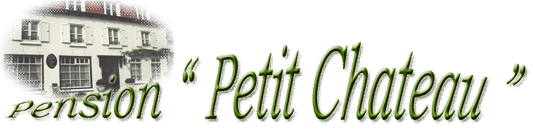 Logo Pension Petit Chateau