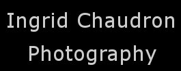 Logo FotoChaudron