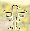 Logo Cosmic & Flower Remedies, Swolgen