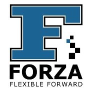 Logo Forza-transport, Odiliapeel