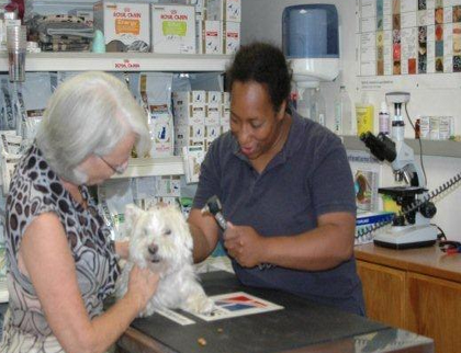 Consultatie Dierenarts Nina Hoffmann