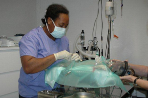 Operatie uit laten voeren door Dierenarts Nina Hoffmann