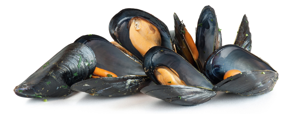 't Hof Van Oranje uit Balegem