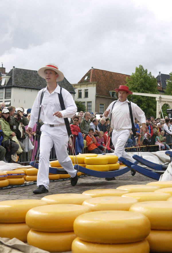 Kaasmarkt in Alkmaar