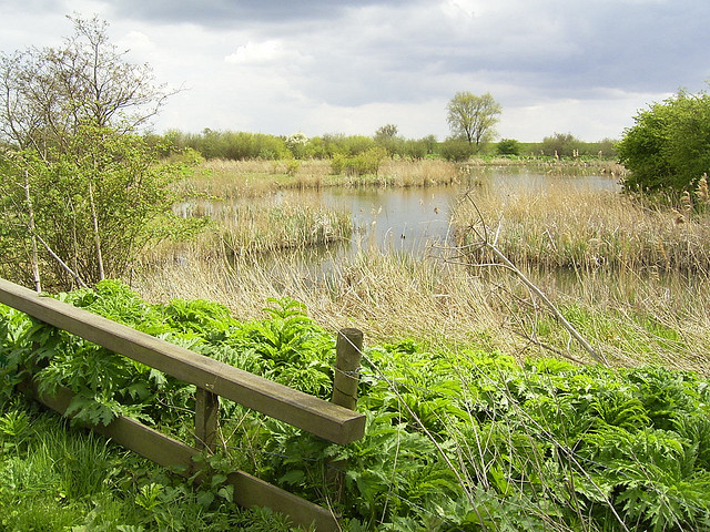 Kromslootpark Almere