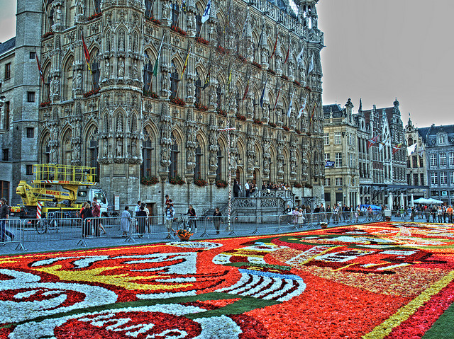 Tapijt van bloemen in Leuven