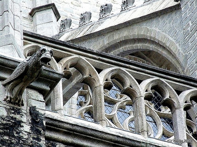 Sint-Gummaruskerk in Lier