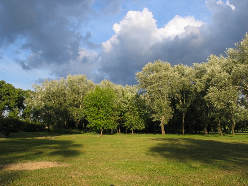 Gewoon een park