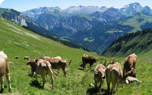 Biohütte Fontanella Biohaus