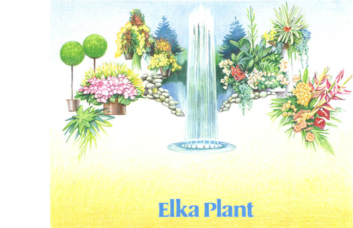 Logo Elka Plant Groot in Groen, Kudelstaart