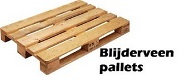 Blijderveenpallets, Dodewaard