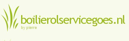 Logo Boilierolservice Goes, Goes