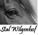 Logo Stal Wilgenhof, Gelselaar