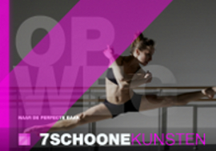 7 Schoone Kunsten, Den Haag