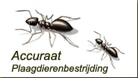 Logo Accuraat Plaagdierenbestrijding, Kedichem