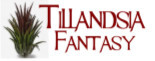 Logo Tillandsia Fantasy, Gouda